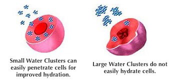 Figure 11. Hexagonally structured water results in small water clusters that are able to penetrate cell membranes allowing for improved cellular hydration.